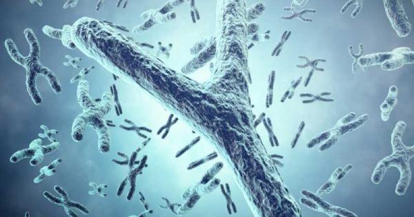 Британски генетици изчислиха че след няколко милиона години Y хромозомата