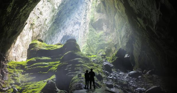 През 1991 г един най необикновен фермер се натъква на неоткрита