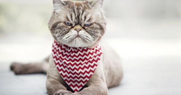 Отношенията ни с другите хора не винаги са такива каквито