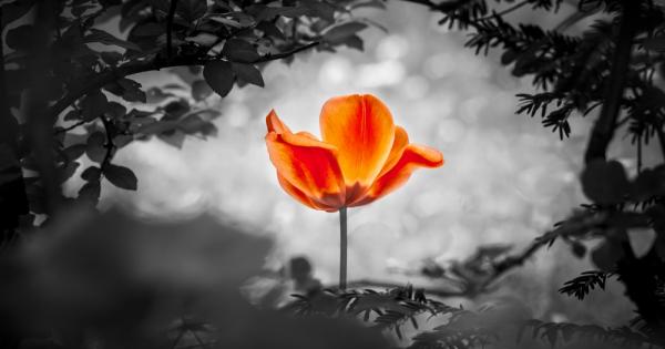 Силната психика се развива като мускул Отнема време за да