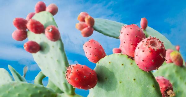 Така смятат учени от Университета на Южна Флорида в Тампа