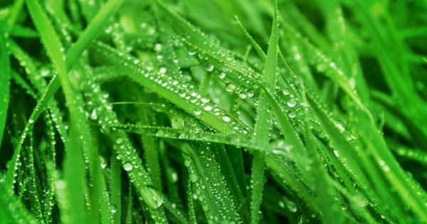 Изглежда като тривиален въпрос но знаете ли отговора Подобно на повечето