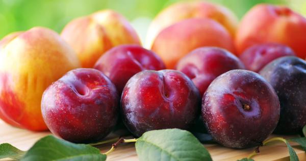 Извлеци от сливи и праскови се оказали смъртоносни за рака