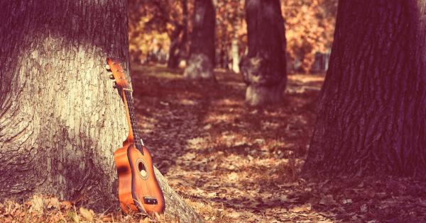 Музиката започва там където свършва словото
Хайнрих Хайне Красивата но тъжна музика може