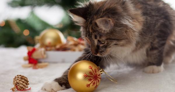 Още от началото на декември коледният дух вече витае във