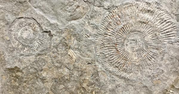 Май е време да прибавим още свещи на тортата за