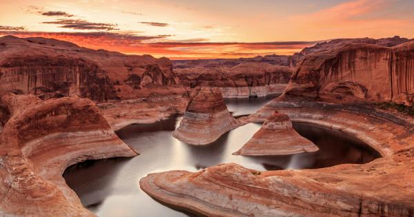 Водни растения заровени под земята в продължение на столетие или