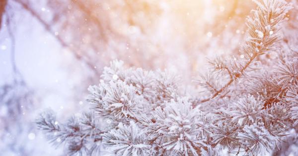 Да очакваме ли тази година бяла Коледа Аз не знам