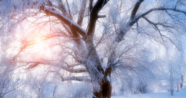 Четвърта поредна година милиони хора в Северна Европа САЩ и