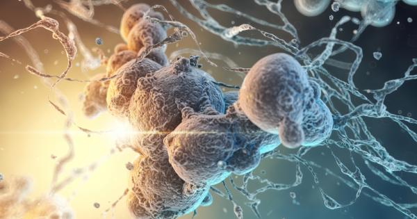 Вкаменени бактерии са били открити на две отделни локации в