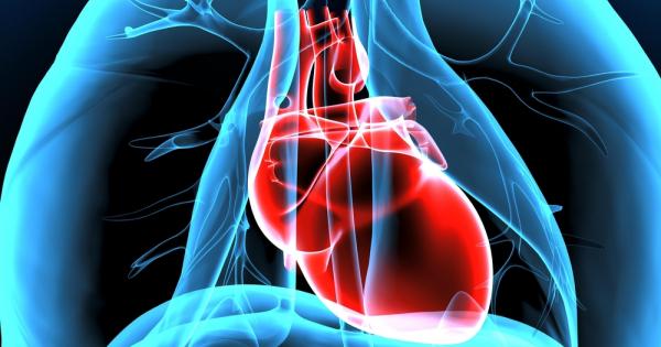 Сърцето е най важният орган в нашето тяло Това е най неуморният мотор