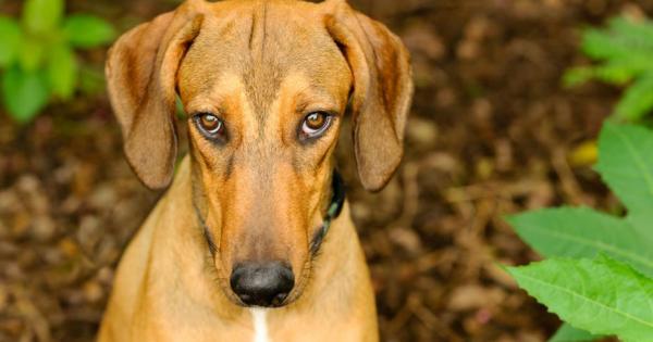 През годините вероятно без да го осъзнавате сте възприели някакви