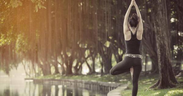 За медитацията са написани много книги и са правени огромно