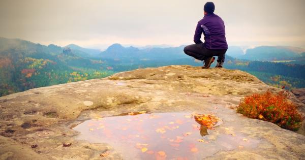 Във филма Империята отвръща на удара когато Йода обучава Люк да бъде