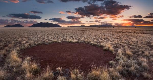 Учените най накрая имат представа какво предизвиква образуването на загадъчните голи