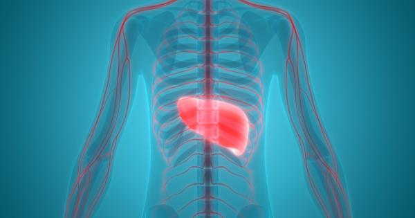 Без съмнение знаете че нашият черен дроб е един от