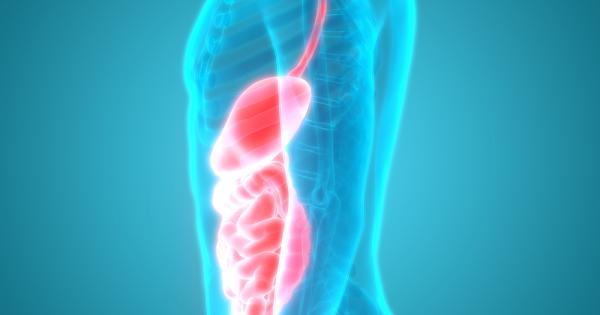 Учените официално са класифицирали чисто нов орган в нашите тела