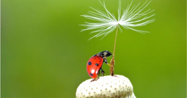 Понякога дори най добрите фотографи се нуждаят от малко късмет за