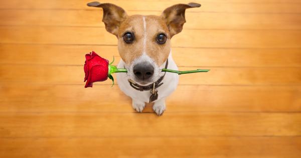 Ако можеха да говорят е не само сборник с разкази