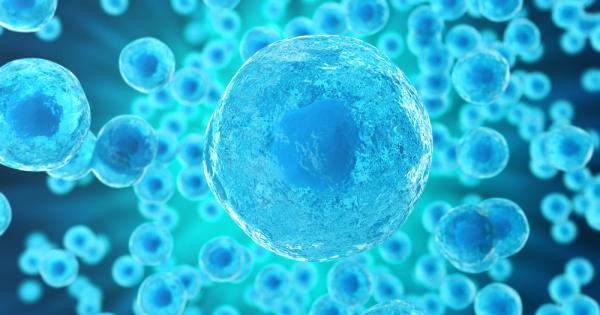 Учени успяха да създадат изкуствени клетки които произвеждат своя собствена