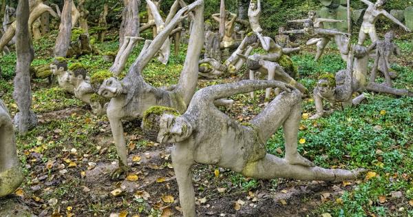 Имате нужда от силни усещания и екзотични цветове От прилив