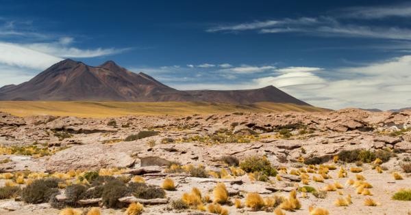 Когато над пустинята Атакама пада дъжд за първи път от