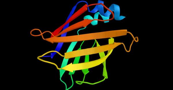 Всички почитатели на Дъглас Адамс знаят какъв е отговора на