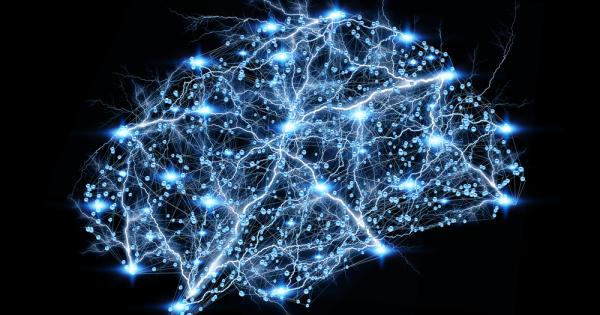 И по старите мозъци не са за изхвърляне Според учени от