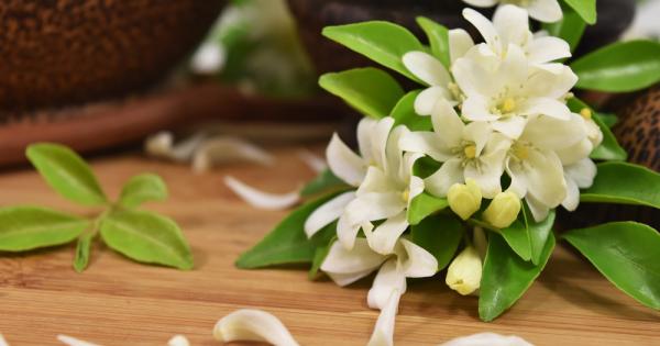 Нервите ни са разстроени Не можем да спим Всичко ни