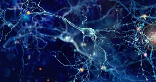 Учени откриха че невроните в човешкия мозък пренасят електрически сигнали