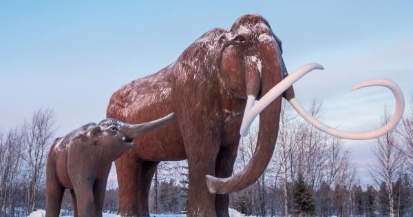 Руски учени откриха идеално запазен труп на мамут с течна