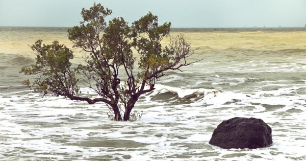 Преди 125 хил години – по време на последния най топъл