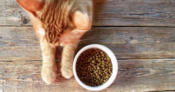 Когато живеят самостоятелно навън домашните котки прекарват голяма част от