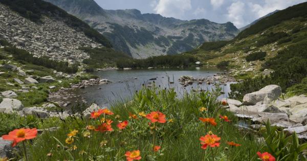 Коалиция За да остане природа в България остро възразява срещу