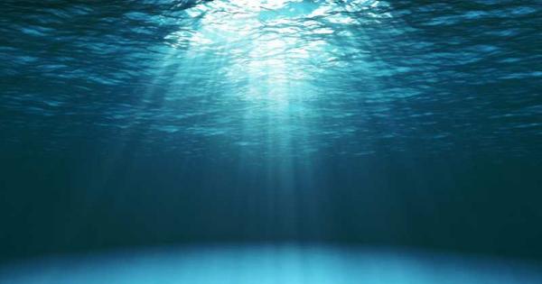 Специалисти от университета в Брадфорд Англия откриха в Северно море