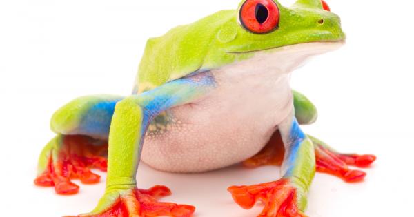 Веднъж Учителят задал следната гатанка на своите ученици На брега