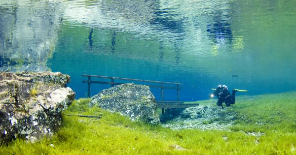 Всяка година един парк в полите на планината Хохшваб се