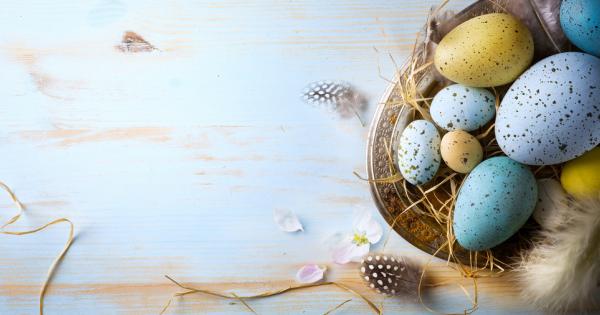 Яйцата на птиците имат голямо разнообразие по отношение на своята