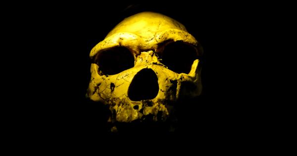 Homo naledi, странен нов вид на братовчеди на човека, който