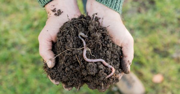 Микропластмасата е навсякъде – от върховете на Арктика до дъното на