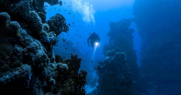 Екип от дълбоководни гмуркачи се натъкна на нещо невероятно –