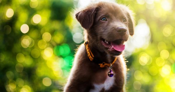 Никое дете не обича да го щипят по бузите –