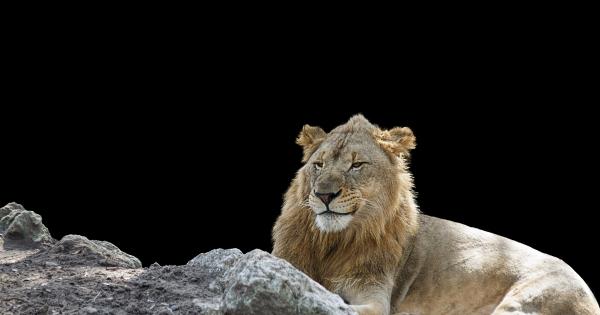 Често самите ние не успяваме да разпознаем кога някой е