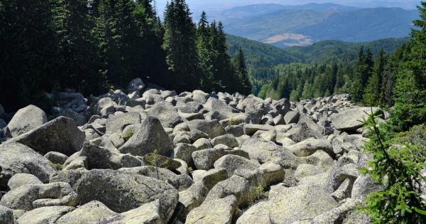 Броени дни остават до крайния срок за приемане на кандидатурите