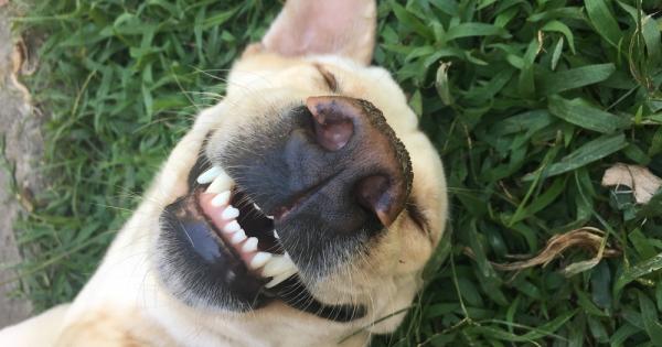 Написан коментар хвърлен камък Който добавя в група другиму сам пада