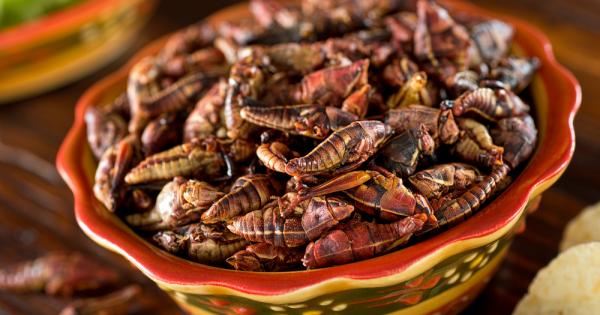 Насекомите са страхотна алтернатива на конвенционалните месни храни защото са