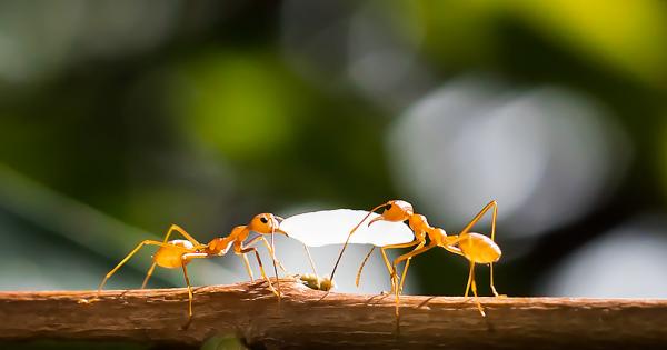 Въпреки всички филми на ужасите от 50 те години на миналия