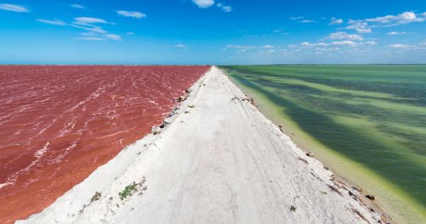 Да цветът на тази лагуна е розов и е напълно реален Тя