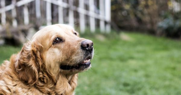 Изглежда не само възрастните хора страдат от състояния като деменция