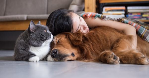 В случай че сте пропуснали първата част на материала можете